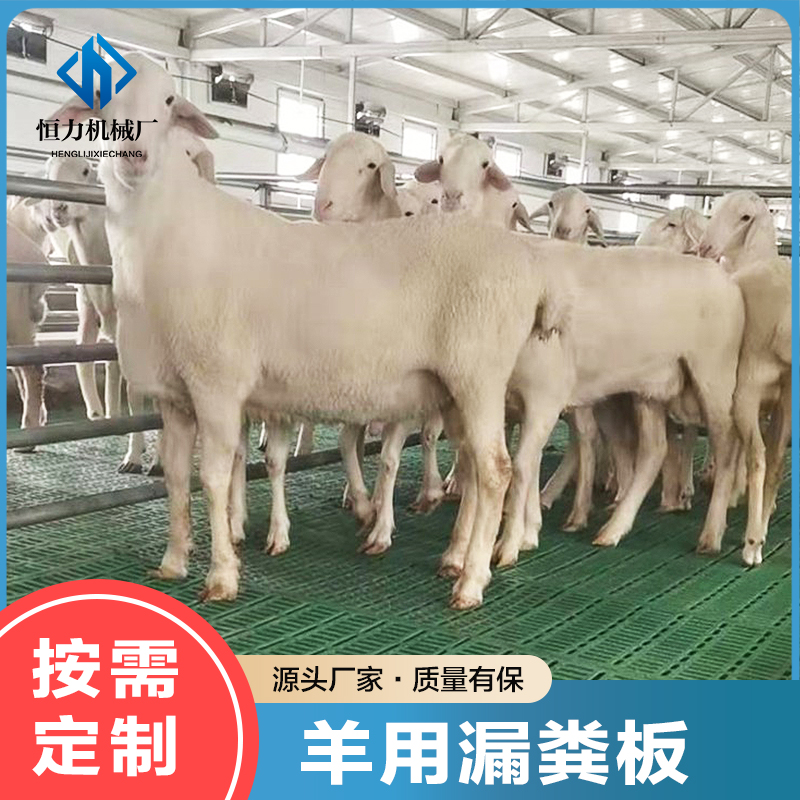 羊用漏糞板