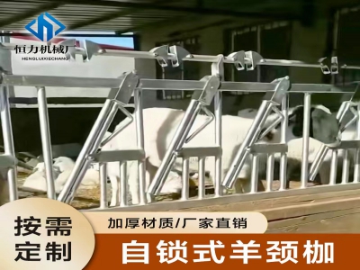 規模養殖為什么要使用羊頸夾 
