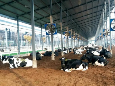 8000萬元支持青海草原畜牧業(yè)轉(zhuǎn)型升項目建設(shè)