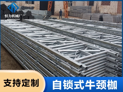 1000位牛頸枷發貨中