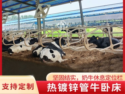 雙面牛臥欄的設計特點是什么