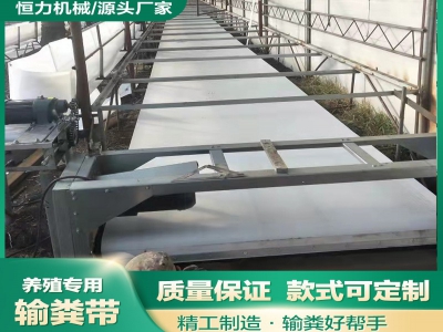 為什么羊場帶式清糞機是當代牧場管理的新寵