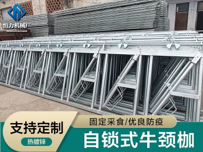 安裝自鎖式牛頸枷需要注意的幾點