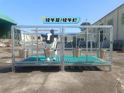 犢牛籠的清潔與維護注意事項