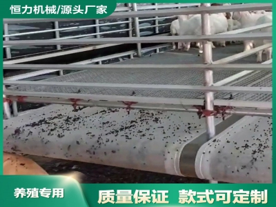 羊場自動輸糞帶在現代化管理中的價值