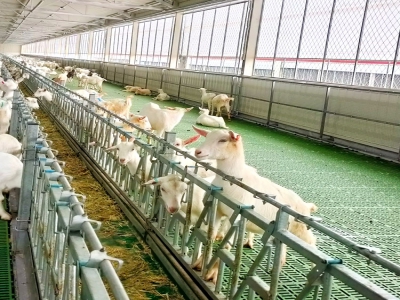 養殖行業都需要的管理利器