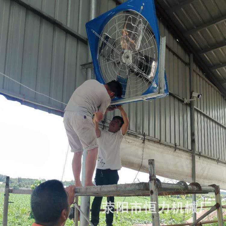 牛場風機的作用(圖3)